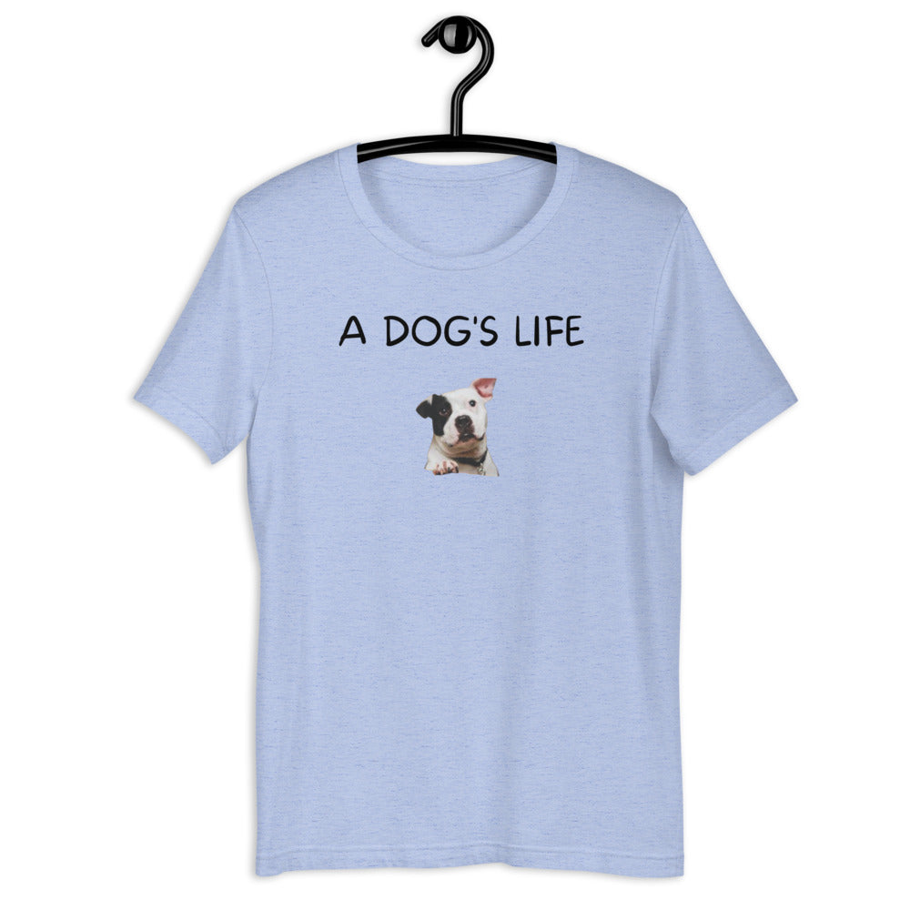 A Dog's Life