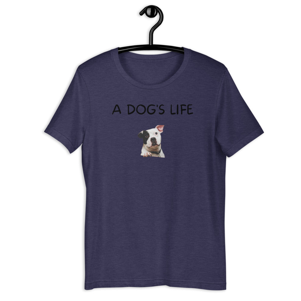 A Dog's Life