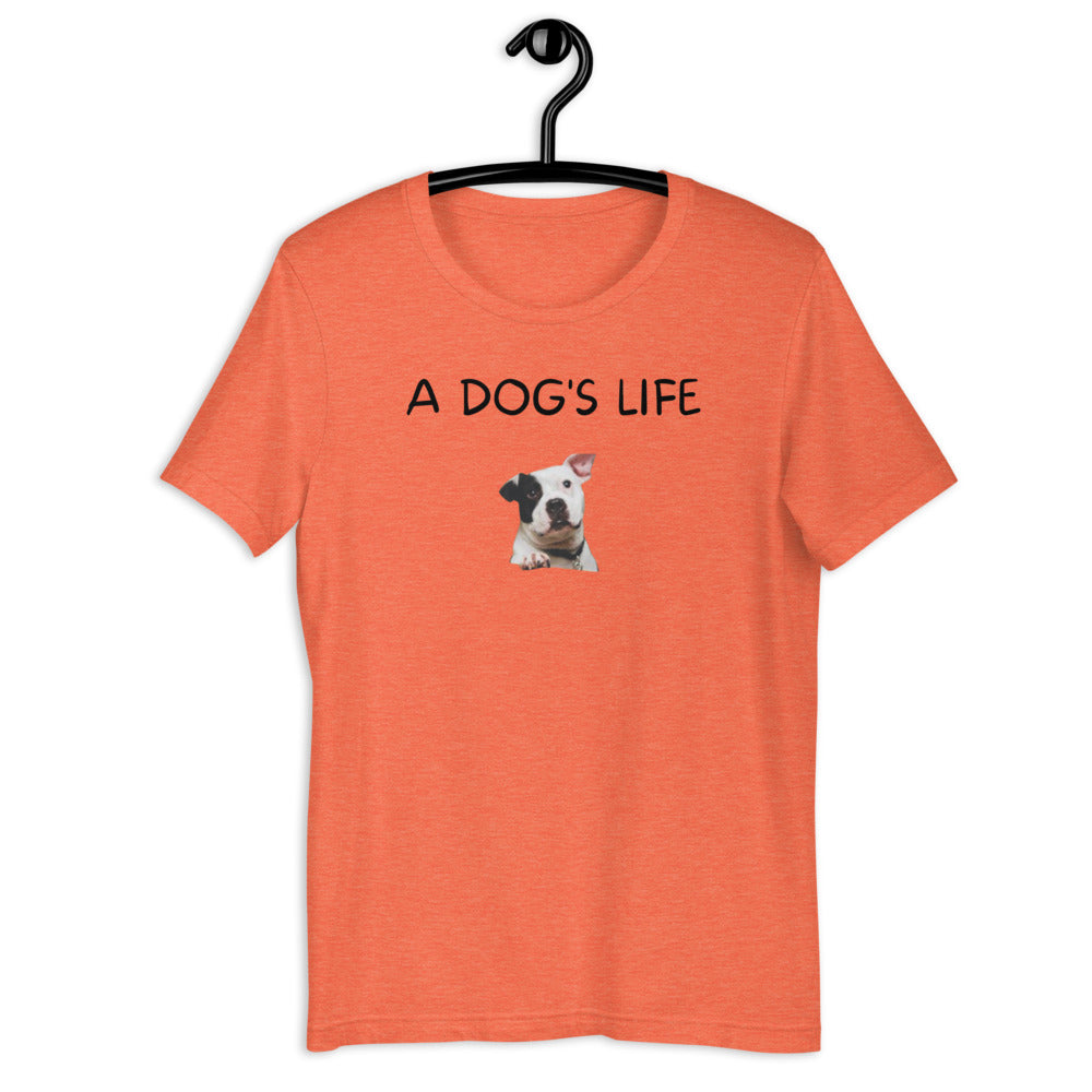 A Dog's Life