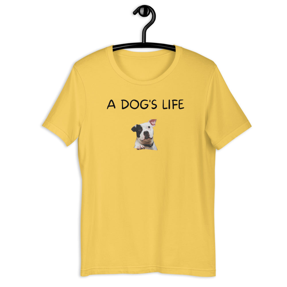 A Dog's Life